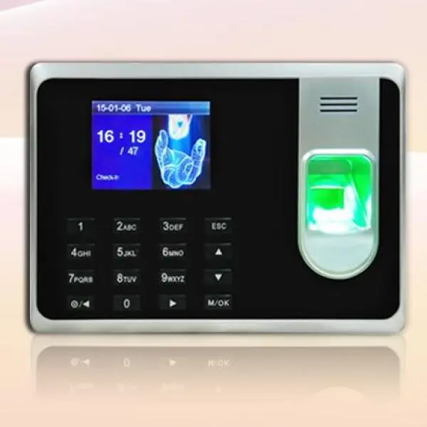 GIGATA-T8
